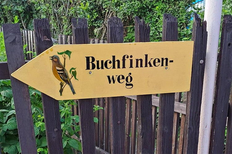 WEGSCHILD BUCHFINKENWEG